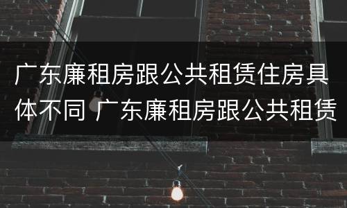 广东廉租房跟公共租赁住房具体不同 广东廉租房跟公共租赁住房具体不同点