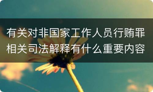 有关对非国家工作人员行贿罪相关司法解释有什么重要内容