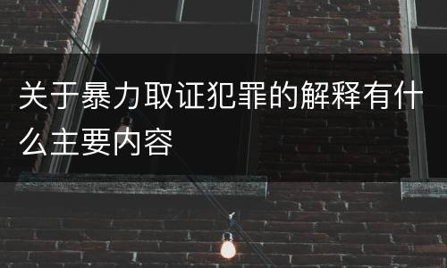 关于暴力取证犯罪的解释有什么主要内容