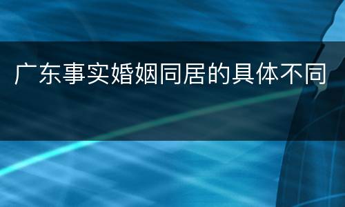 广东事实婚姻同居的具体不同