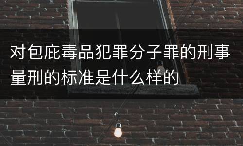 对包庇毒品犯罪分子罪的刑事量刑的标准是什么样的