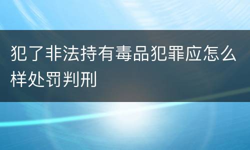 犯了非法持有毒品犯罪应怎么样处罚判刑