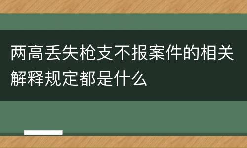 两高丢失枪支不报案件的相关解释规定都是什么