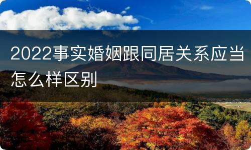 2022事实婚姻跟同居关系应当怎么样区别