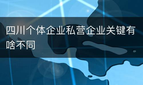 四川个体企业私营企业关键有啥不同