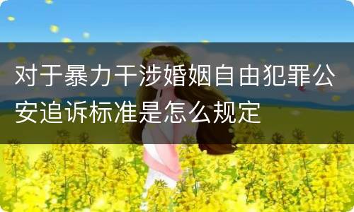 对于暴力干涉婚姻自由犯罪公安追诉标准是怎么规定