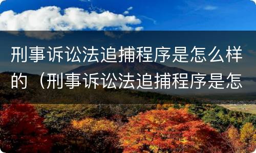 刑事诉讼法追捕程序是怎么样的（刑事诉讼法追捕程序是怎么样的规定）