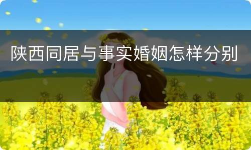 陕西同居与事实婚姻怎样分别