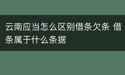 云南应当怎么区别借条欠条 借条属于什么条据