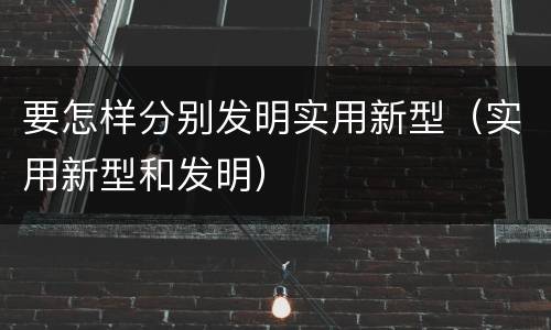 要怎样分别发明实用新型（实用新型和发明）