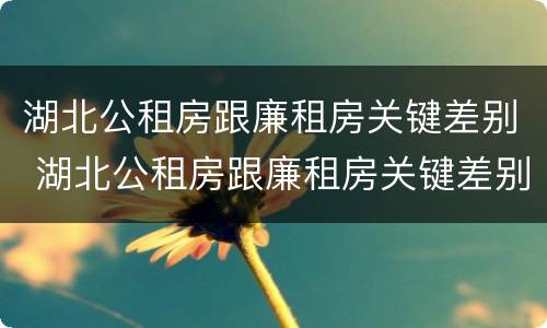 湖北公租房跟廉租房关键差别 湖北公租房跟廉租房关键差别是什么