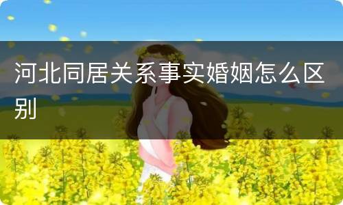 河北同居关系事实婚姻怎么区别