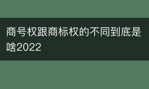 商号权跟商标权的不同到底是啥2022