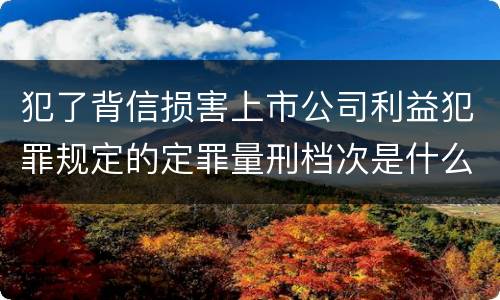 犯了背信损害上市公司利益犯罪规定的定罪量刑档次是什么