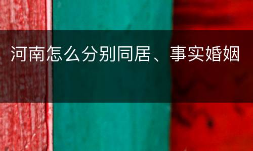 河南怎么分别同居、事实婚姻