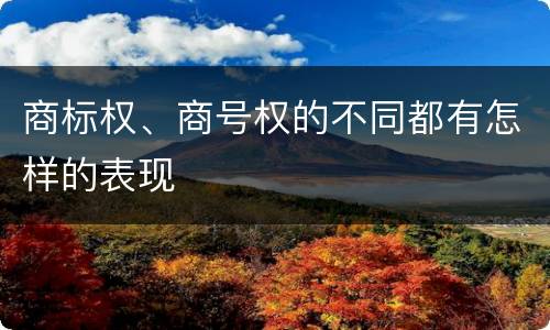 商标权、商号权的不同都有怎样的表现