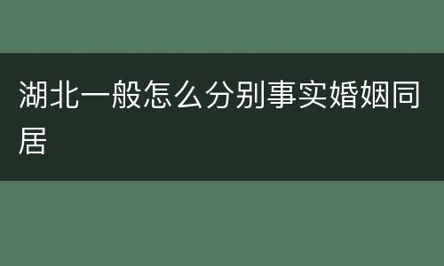 湖北一般怎么分别事实婚姻同居