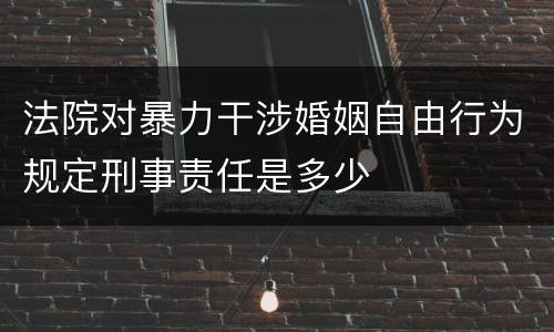 法院对暴力干涉婚姻自由行为规定刑事责任是多少