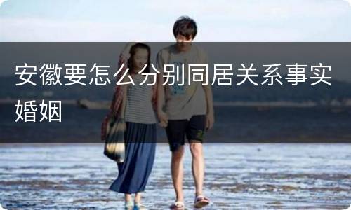 安徽要怎么分别同居关系事实婚姻