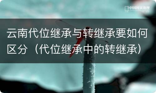 云南代位继承与转继承要如何区分（代位继承中的转继承）