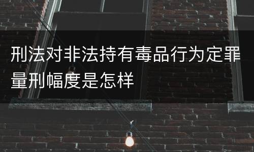 刑法对非法持有毒品行为定罪量刑幅度是怎样