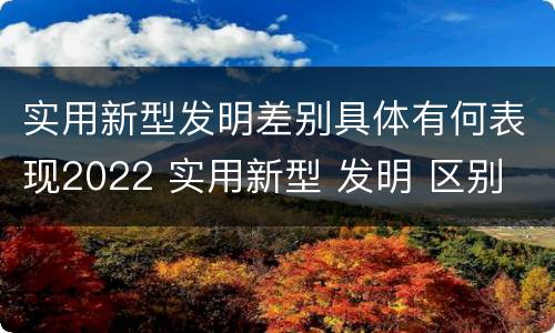 实用新型发明差别具体有何表现2022 实用新型 发明 区别