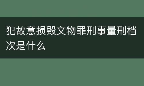 犯故意损毁文物罪刑事量刑档次是什么