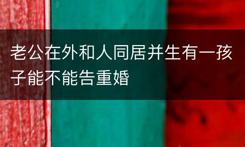 老公在外和人同居并生有一孩子能不能告重婚