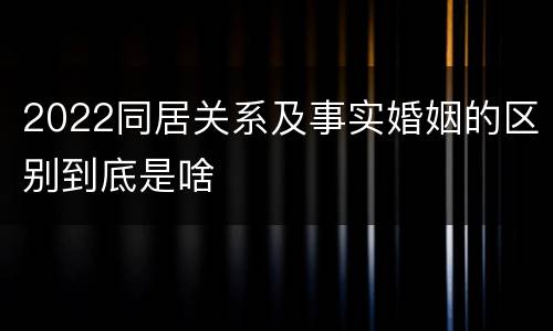 2022同居关系及事实婚姻的区别到底是啥