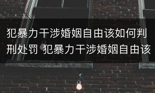 犯暴力干涉婚姻自由该如何判刑处罚 犯暴力干涉婚姻自由该如何判刑处罚