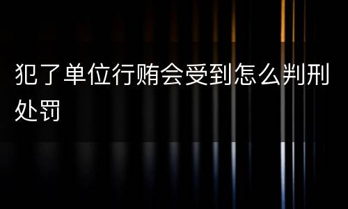 犯了单位行贿会受到怎么判刑处罚