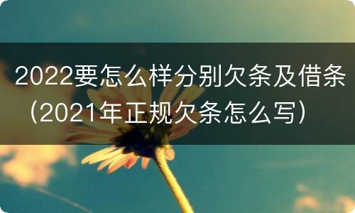 2022要怎么样分别欠条及借条（2021年正规欠条怎么写）