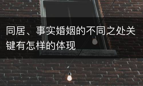 同居、事实婚姻的不同之处关键有怎样的体现