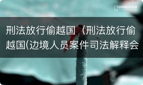 刑法放行偷越国（刑法放行偷越国(边境人员案件司法解释会如何规定）