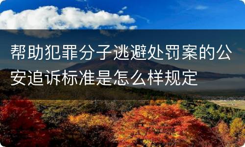 帮助犯罪分子逃避处罚案的公安追诉标准是怎么样规定