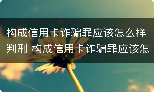 构成信用卡诈骗罪应该怎么样判刑 构成信用卡诈骗罪应该怎么样判刑呢