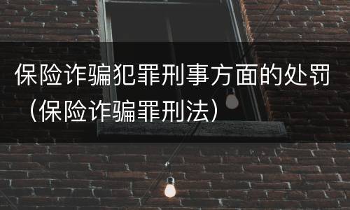 保险诈骗犯罪刑事方面的处罚（保险诈骗罪刑法）