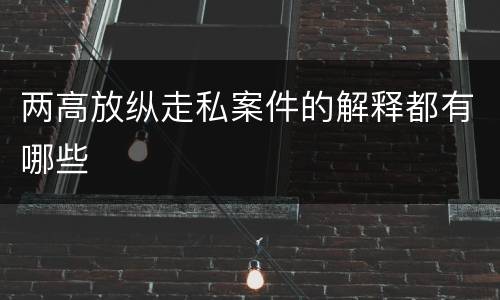 两高放纵走私案件的解释都有哪些