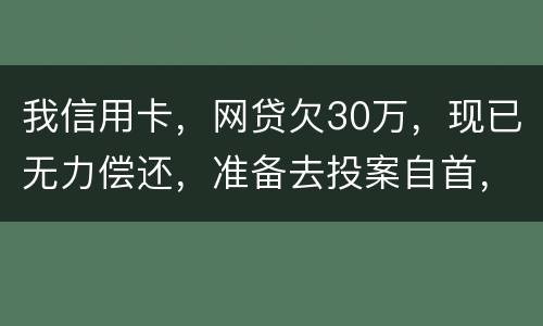 我信用卡，网贷欠30万，现已无力偿还，准备去投案自首，大概会判多少年