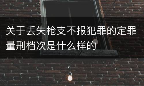 关于丢失枪支不报犯罪的定罪量刑档次是什么样的