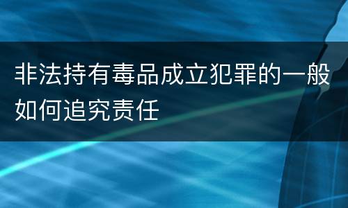 非法持有毒品成立犯罪的一般如何追究责任