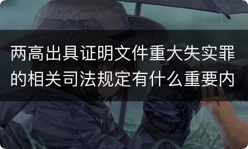 两高出具证明文件重大失实罪的相关司法规定有什么重要内容