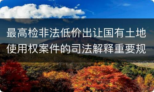 最高检非法低价出让国有土地使用权案件的司法解释重要规定都有哪些