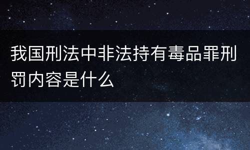 我国刑法中非法持有毒品罪刑罚内容是什么