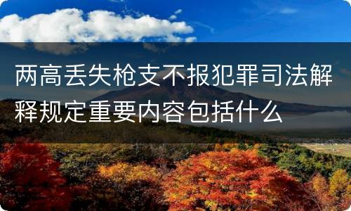 两高丢失枪支不报犯罪司法解释规定重要内容包括什么