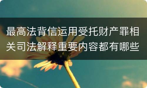 最高法背信运用受托财产罪相关司法解释重要内容都有哪些