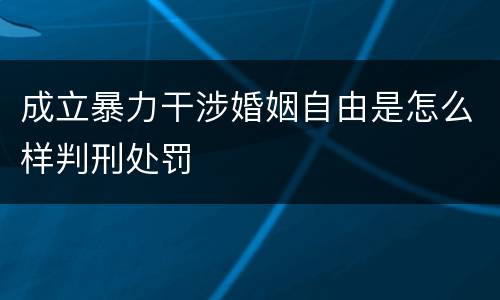 成立暴力干涉婚姻自由是怎么样判刑处罚