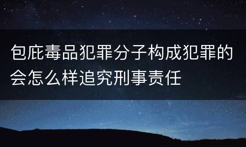 包庇毒品犯罪分子构成犯罪的会怎么样追究刑事责任