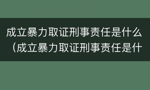 成立暴力取证刑事责任是什么（成立暴力取证刑事责任是什么罪）