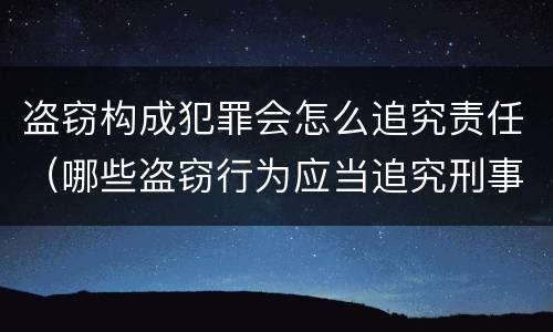 盗窃构成犯罪会怎么追究责任（哪些盗窃行为应当追究刑事责任）